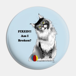 Fixed Kitty Pin