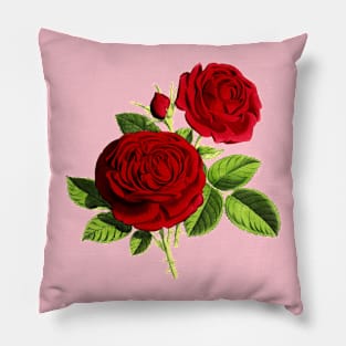 Red Rose Flowers Vintage Botanical Illustration Pillow