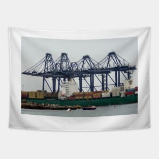 122514 shipping Tapestry