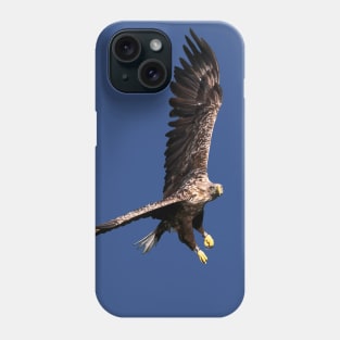 White tailed Eagle Phone Case