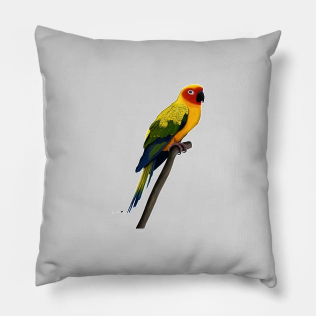 Sun Conure Bird Watching Birding Ornithologist Gift Pillow by jzbirds