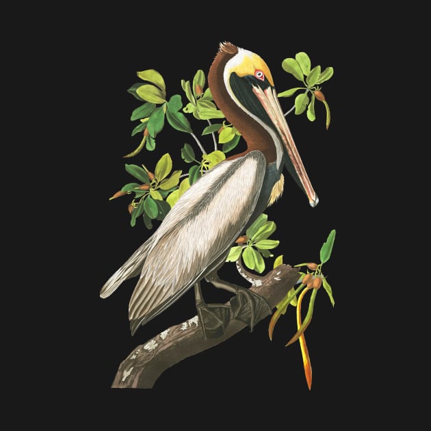 John James Audubons Brown Pelican by Dystopianpalace