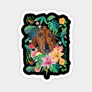 Tropical Brown Dachshund Doxie 1 Magnet