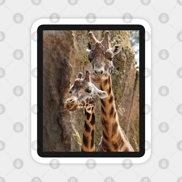 Togetherness Magnet by LeanneAllen