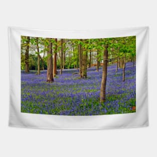 Bluebell Woods Greys Court Oxfordshire UK Tapestry