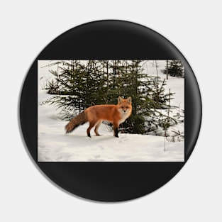 Foxy in the woods Pin