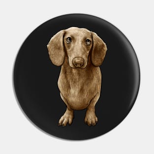 Dachshund Dog Doxie Pin