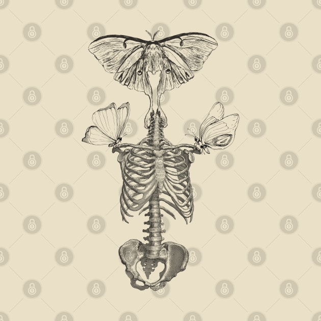 Butterfly skeleton by OdllyWeird