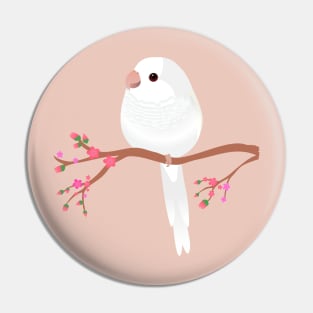 Cute egg shaped albino quaker parrot or monk parakeet Pin