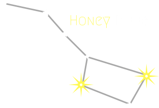 Honey Dipper Magnet