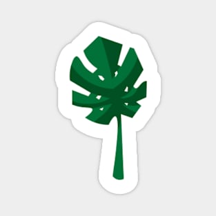 PALM LEAF! Magnet