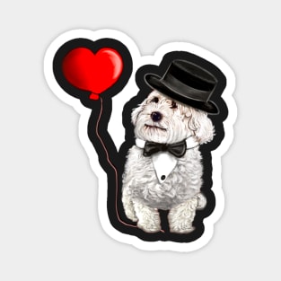 The Best Valentine’s Day Gift ideas 2022, Cavalier king charles spaniel fancy dress bow tie and hat, white Cavoodle Cavapoo Valentine’s day Magnet