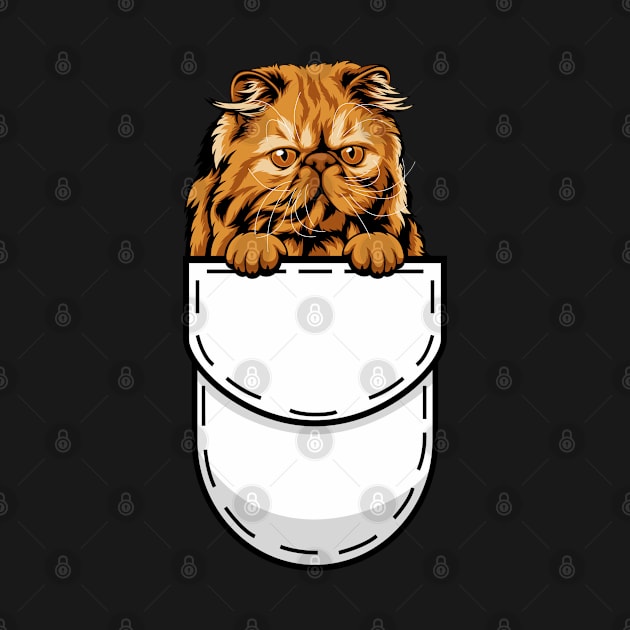 Funny Pocket Cat Persian by Pet My Dog