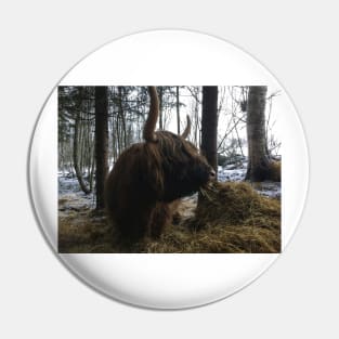 Scottish Highland Cattle Cow 2191 Pin