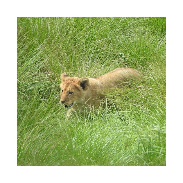 Lion Cub by kirstybush