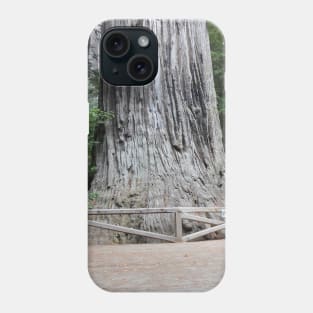 Redwoods California Nature Photography Pacific Northwest Phone Case