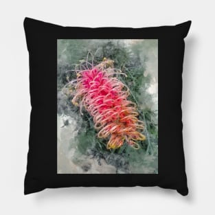 Exotic Flowers Australia - Australian Grevillea Flower Pillow