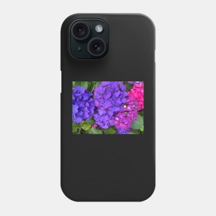 The Riotous Color of the Summer Hydrangea Phone Case