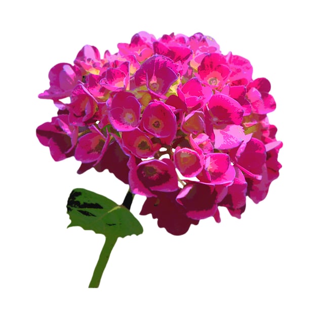 Pink Hydrangea Flower by Truely Memorable Gifts