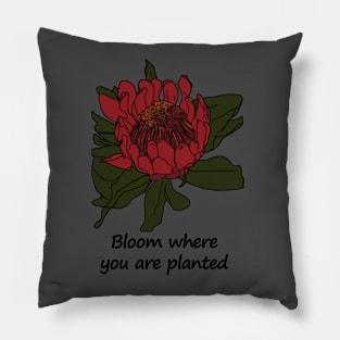 Flower Protea Pillow