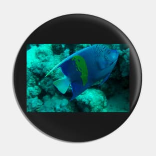 angelfish Pin