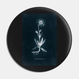 Cyanotype - Arnica Montana Pin