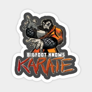 BIGFOOT KNOWS KARATE - BRING IT! Magnet