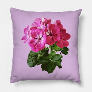 Magenta Geranium Pillow