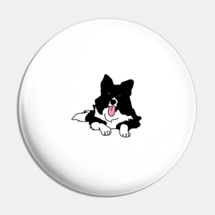 Border collie Pin