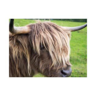 Scottish highland cow T-Shirt