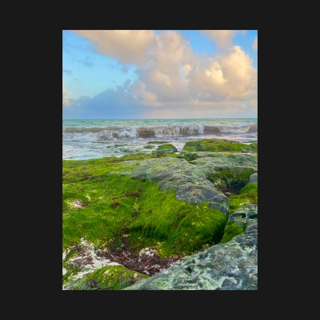 Tide Pools in Mexico by ephotocard