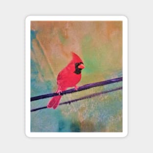 Vintage Cardinal Magnet