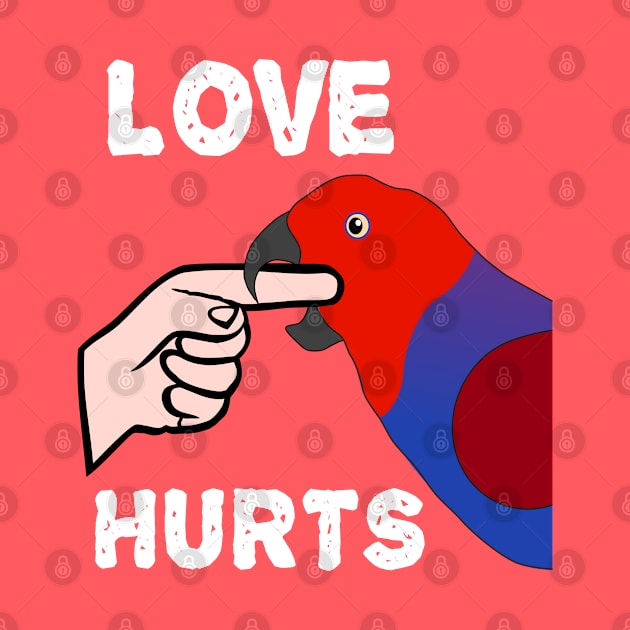 Love Hurts Eclectus Female Parrot Biting by Einstein Parrot