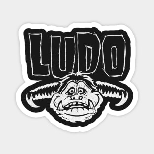 Ludo Magnet