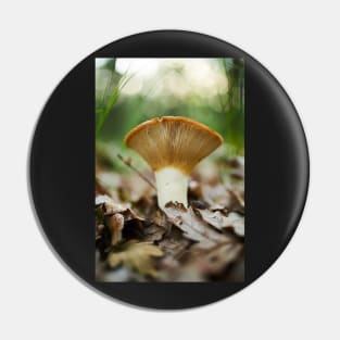 Peppery milk-cap, edible mushroom Pin