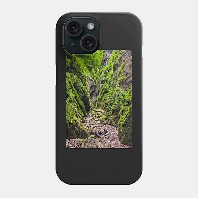 A beautiful view of a narrow wild canyon Phone Case by naturalis