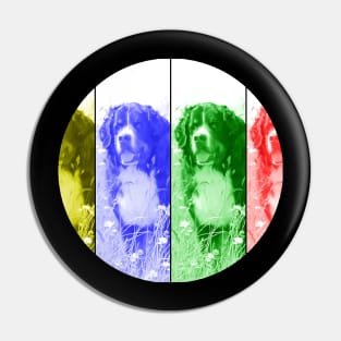 🌈🐶 3-Color Bernese Mountain Dog in Vibrant Grassy Field 🌿 | Eye-Catching Dog Art Pin