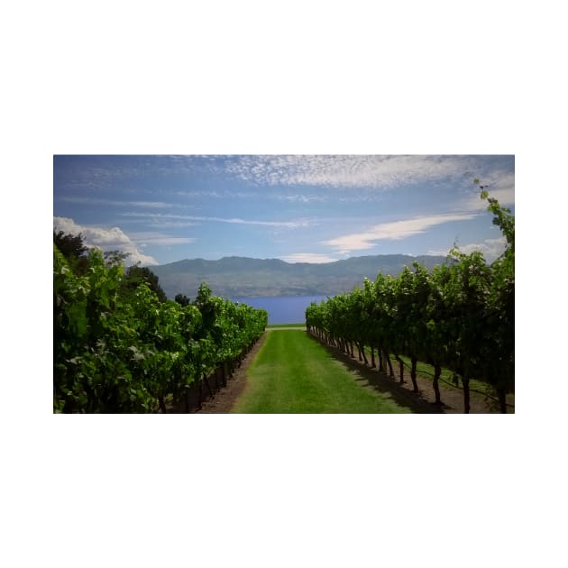 The Okanagan Lake and Grape Vines by GenAumonier