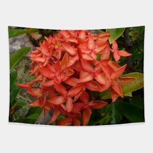 Orange Flower Tapestry