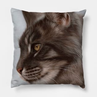 Maine Coon Painting Pillow