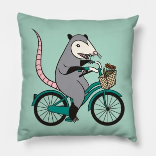 Possum on a Bicycle Pillow