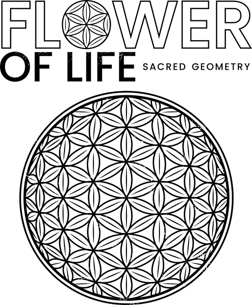 Flower of Life Kids T-Shirt by marieltoigo