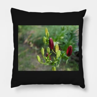Multicolored Flower Buds 1 Pillow