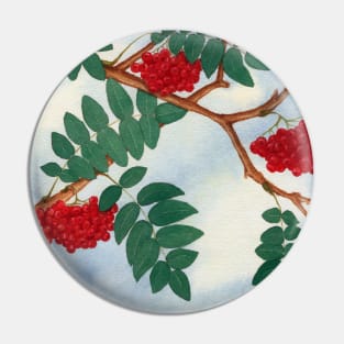 MOUNTAIN ASH LEAVES TREE TREES BLUE SKY SPRING SEASONS Pin