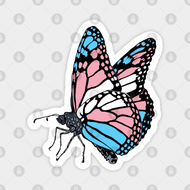 Transgender Butterfly Magnet by theartfulscientist