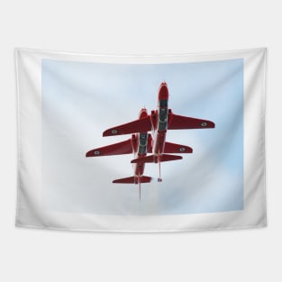 RAF Red Arrows Hawks Tapestry