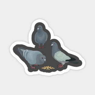 Snacking Pigeons Magnet