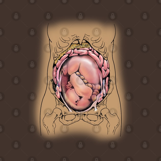 Fetus in Utero by GDanArtist