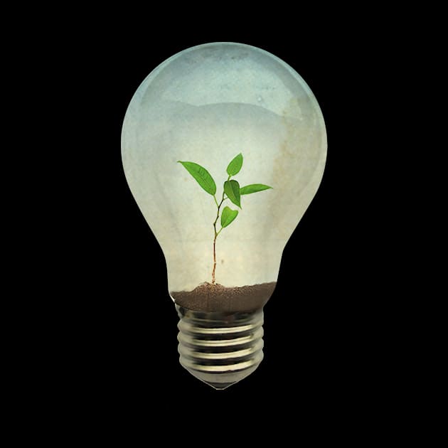 Global Warming plant in a light bulb by Vin Zzep