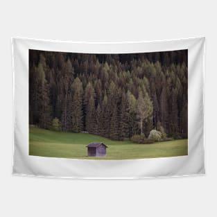 Isolated cabin in the woods in Italy Tapestry
